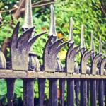 fence-569281_1280